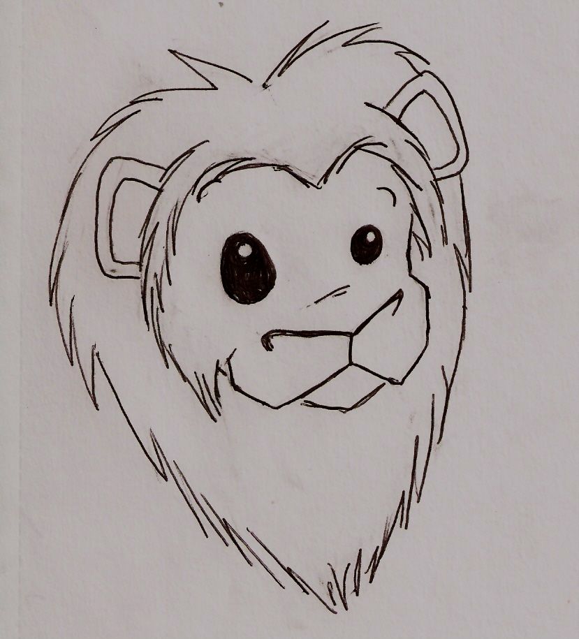 Cute Lion Drawing