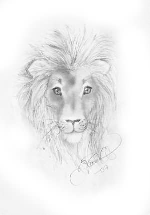 300x431 Cute Lion Tattoo Drawing - Cute Lion Drawing