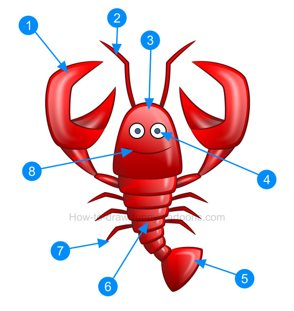 600x636 how to create a beautiful lobster drawing - Cute Lobster Drawing