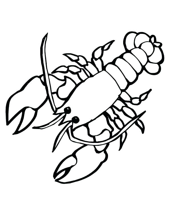 600x776 lobster coloring pages funny drawing - Cute Lobster Drawing