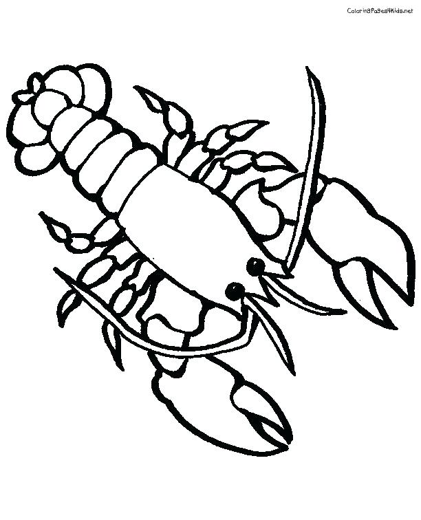 612x756 lobster cute - Cute Lobster Drawing