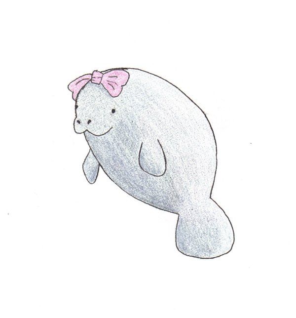 Cute Manatee Drawing at PaintingValley.com | Explore collection of Cute