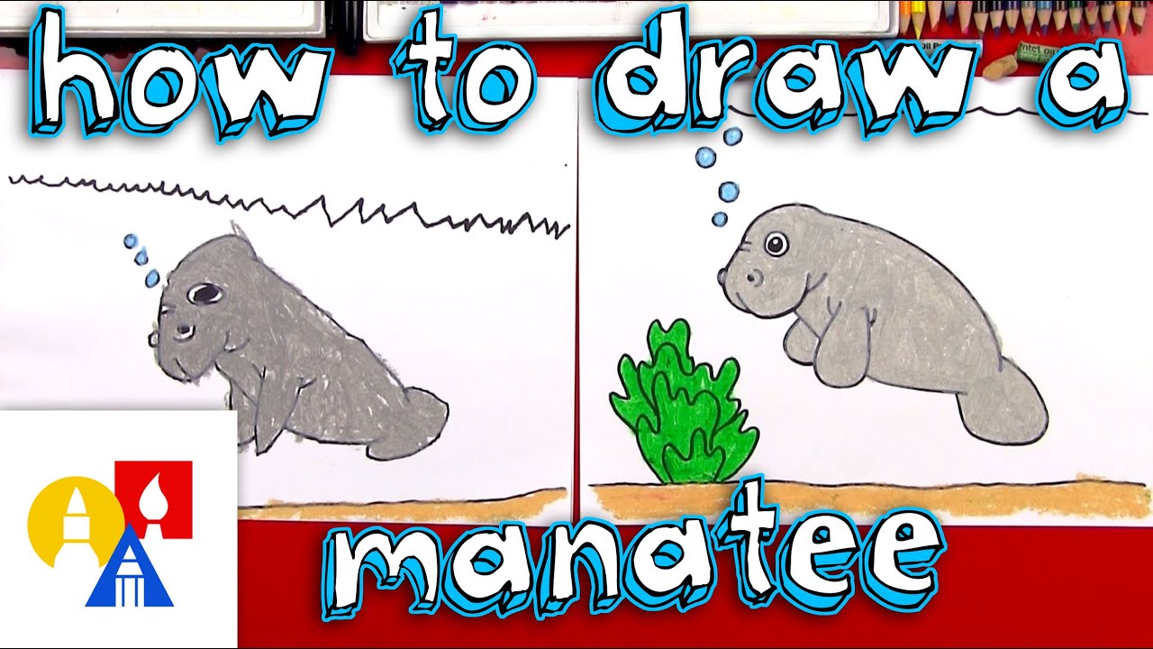 1280x720 how to draw a cartoon manatee - Cute Manatee Drawing