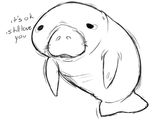 500x393 manatee, thewindything we interrupt this broadcast - Cute Manatee Drawing