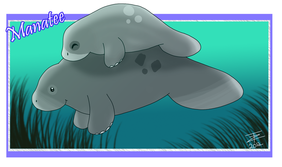 Cute Manatee Drawing At PaintingValley.com | Explore Collection Of Cute ...