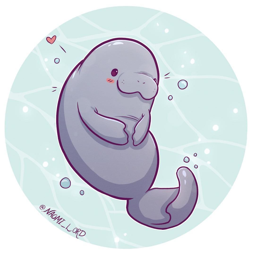 1080x1080 manatees bullet journal in cute animal drawings, kawaii - Cute Manatee Drawing