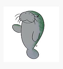 210x230 sea cow drawing wall art redbubble - Cute Manatee Drawing