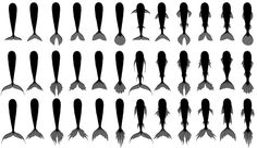 236x136 mermaidmerman tail chart - Cute Mermaid Tail Drawing