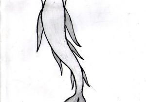 300x210 simple mermaid tail drawing cute mermaid tail drawing - Cute Mermaid Tail Drawing