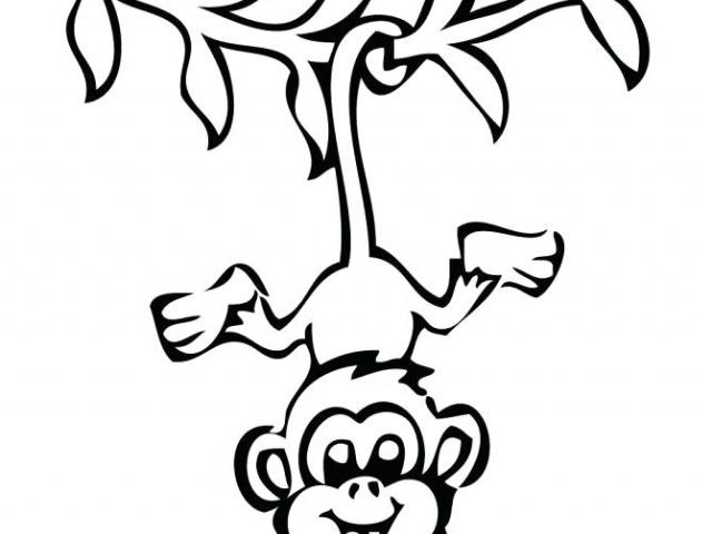 640x480 Cute Monkey Drawing - Cute Monkey Drawing
