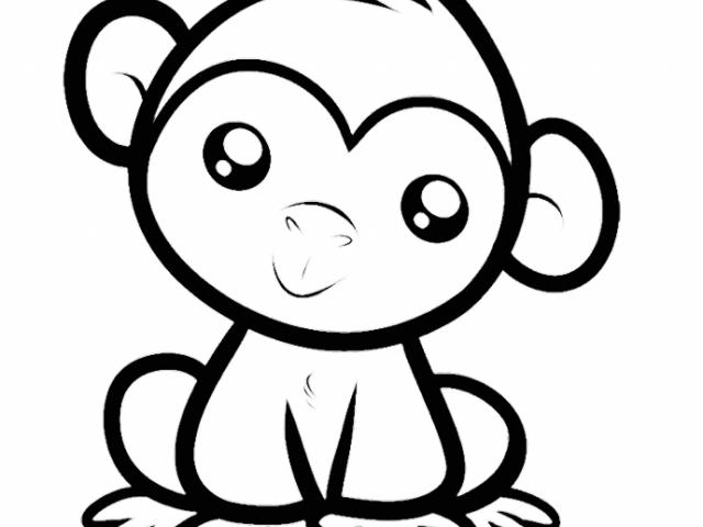 640x480 Huge Collection Of 'cute Baby Monkey Drawing' Download More Than - Cute Monkey Drawing
