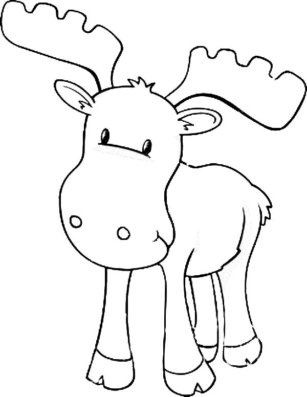 600x776 Moose Clipart Black And White Kids Collection - Cute Moose Drawing