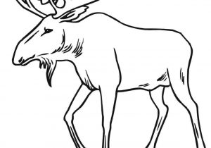 300x210 Google Search Integrating Patterns Rhcom Simple Simple - Cute Moose Drawing