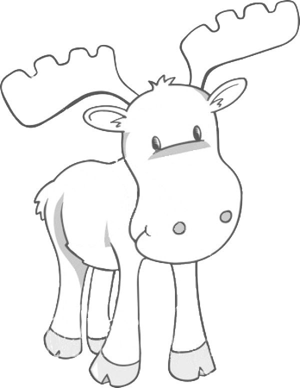 600x776 Moose Coloring - Cute Moose Drawing