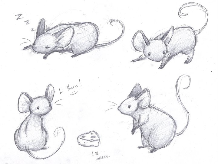 720x543 Cute Mouse Drawing - Cute Mouse Drawing
