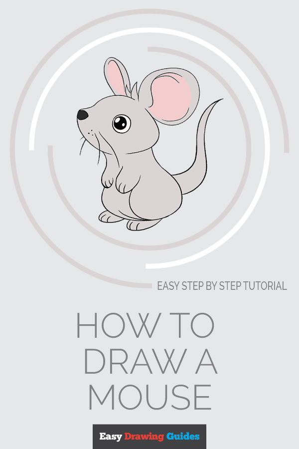 600x900 How To Draw A Mouse Step - Cute Mouse Drawing