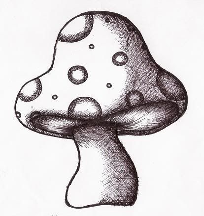 414x440 cool mushroom drawings mushroom drawing image - Cute Mushroom Drawing
