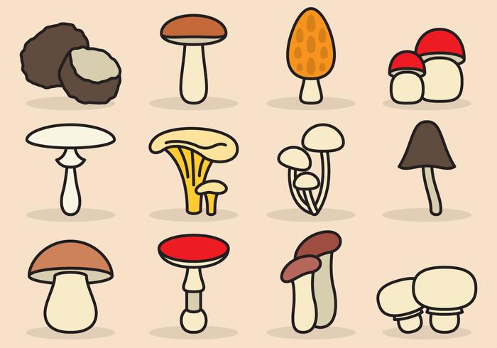 700x490 Cute Mushroom Icons - Cute Mushroom Drawing