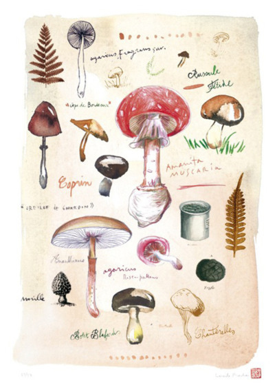 400x565 art, cute, drawing, illustration, indie - Cute Mushroom Drawing