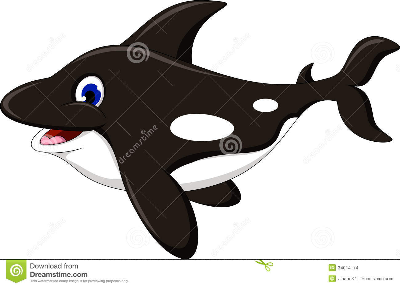 Cute Orca Drawing