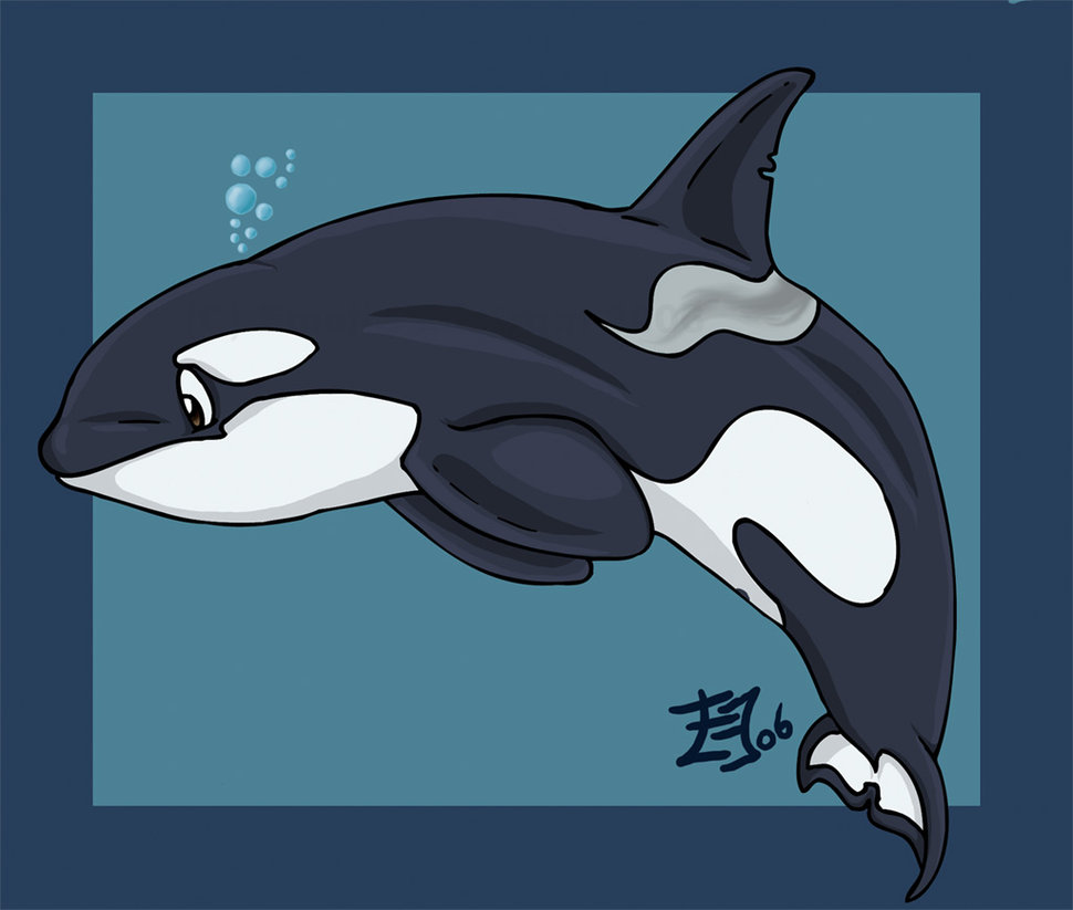 Cute Orca Drawing at Explore collection of Cute