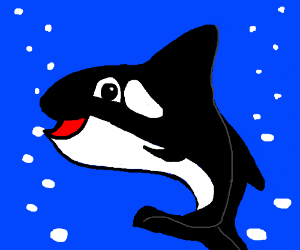 300x250 cute orca drawing - Cute Orca Drawing