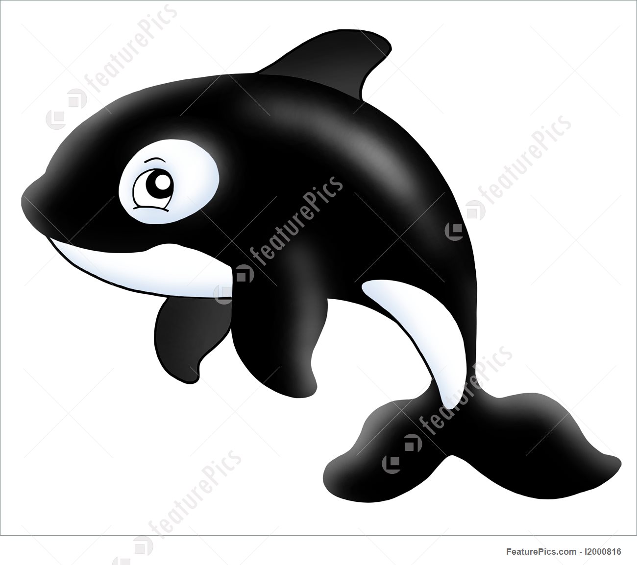 1300x1154 Killer Whale Illustration - Cute Orca Drawing