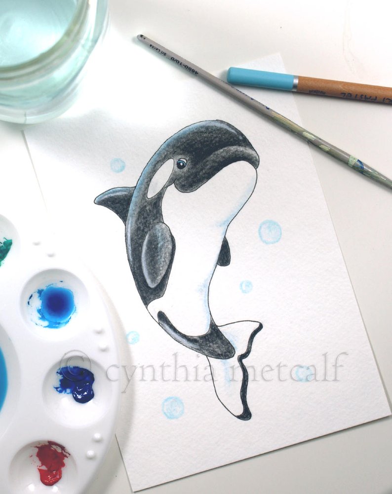 794x1001 orca original watercolor nursery art killer whale painting etsy - Cute Orca Drawing