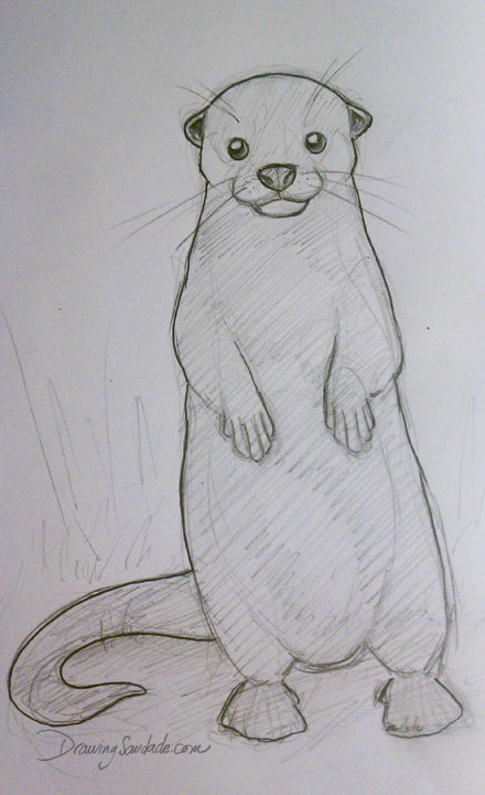 440x720 Drawing Saudade Doodle - Cute Otter Drawing