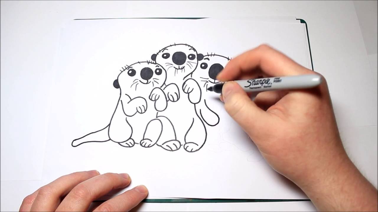 1280x720 how to draw the otters from finding dory for kids - Cute Otter Drawing