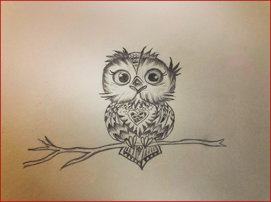 Cute Owl Drawing At Paintingvalley Com Explore Collection Of