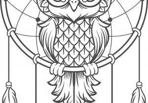 300x210 For Different Holidays Owls Rhcom How I Draw - Cute Owl Drawing