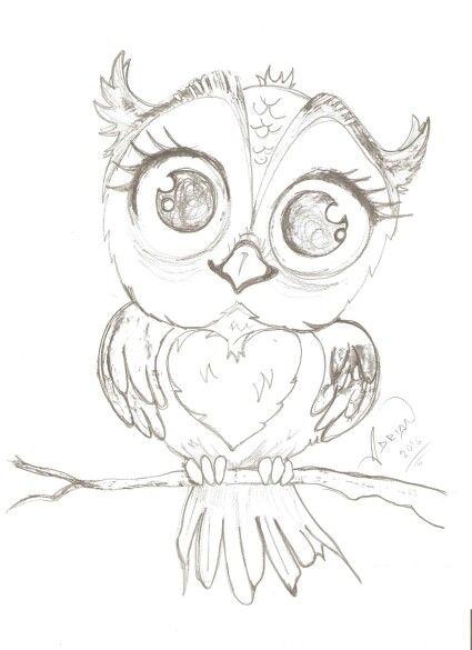 425x585 Cute Owl Cute Owl - Cute Owl Drawing