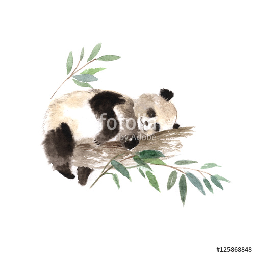 500x500 easy to draw panda bear free cute panda drawing download free clip - Cute Panda Bear Drawing