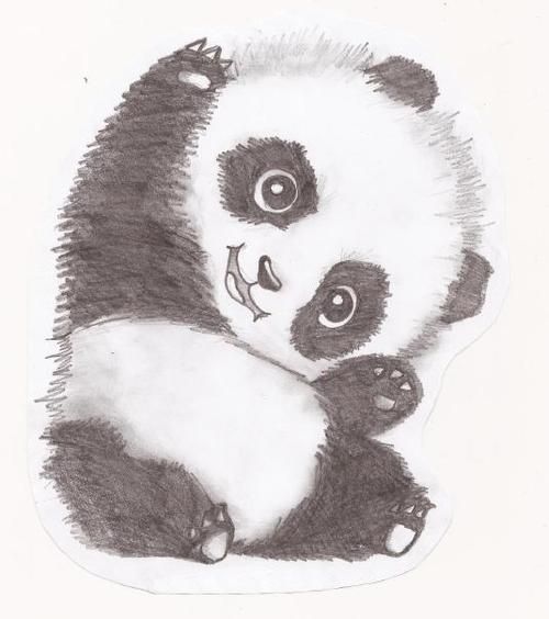 Cute Panda Bear Drawing at PaintingValley.com | Explore collection of ...