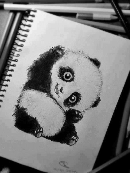 453x604 Cute Panda Draw - Cute Panda Drawing