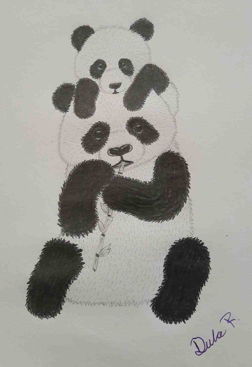 1011x1470 Huge Collection Of 'cute Panda Drawing Tumblr' Download More Than - Cute Panda Drawing
