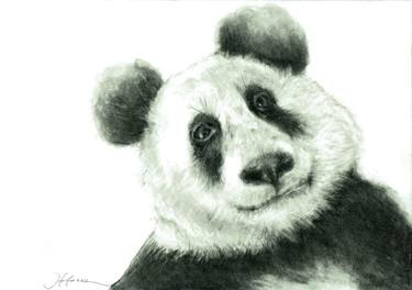 375x264 Hello Cute Panda Drawing - Cute Panda Drawing Pictures