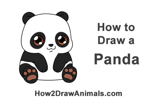 500x315 How To Draw A Panda Bear - Cute Panda Drawing Step By Step