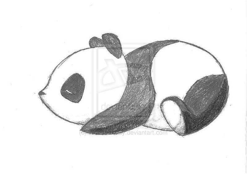800x565 How To Draw A Red Panda Easy - Cute Panda Drawing Step By Step