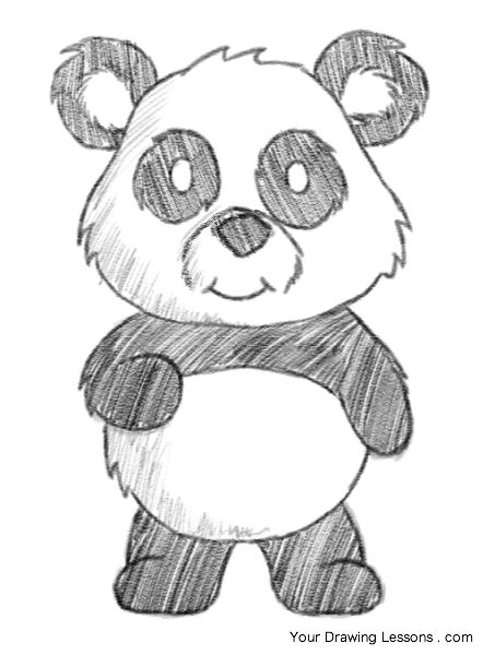 442x600 Huge Collection Of 'panda Bear Drawing' Download More Than - Cute Panda Drawing Step By Step