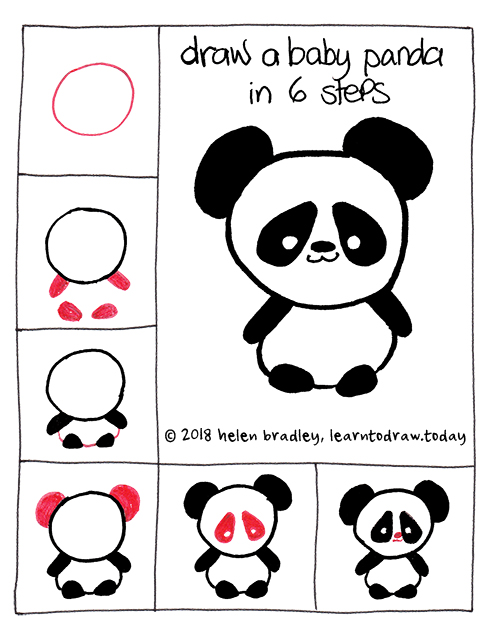 500x636 Learn To Draw A Cute Baby Panda In Six Steps Learn To Draw - Cute Panda Drawing Step By Step