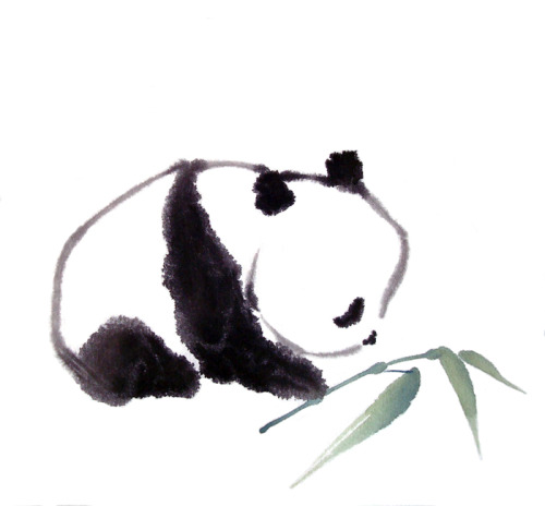 500x464 cute panda drawing tumblr baby panda drawing tumblr baby panda - Cute Panda Drawing Tumblr