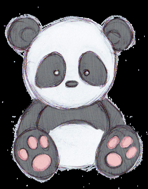 500x637 easy to draw cute panda easy panda pictures to draw best - Cute Panda Drawing Tumblr