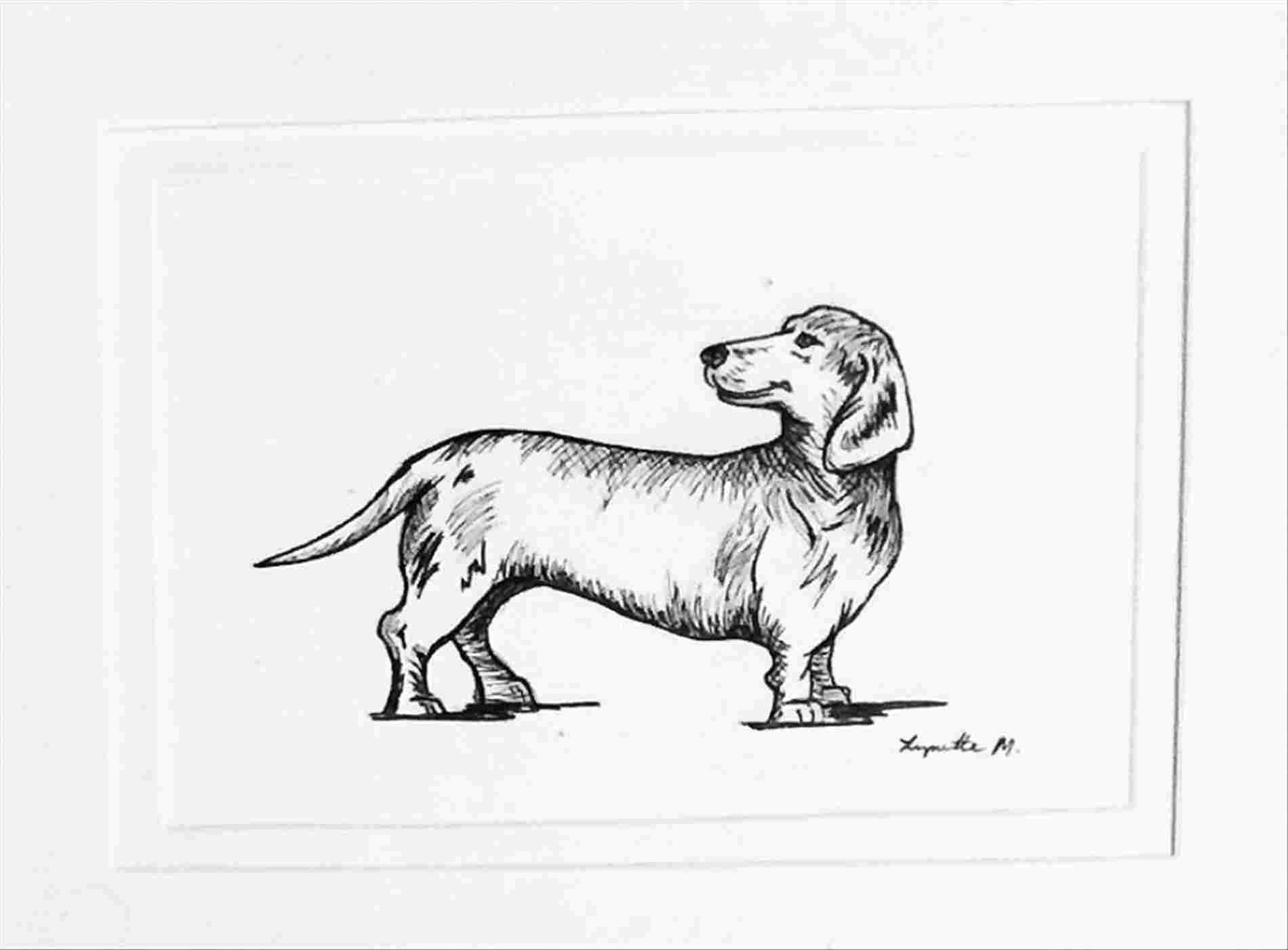 1900x1402 Drawings Cute Animal Drawings Download Clip Art - Cute Panther Drawing