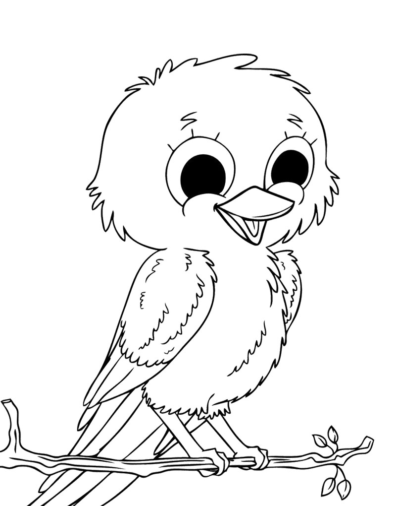Cute Parrot Drawing