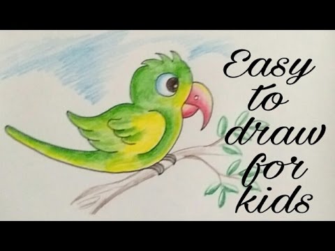 Cute Parrot Drawing At Paintingvalley Com Explore Collection Of