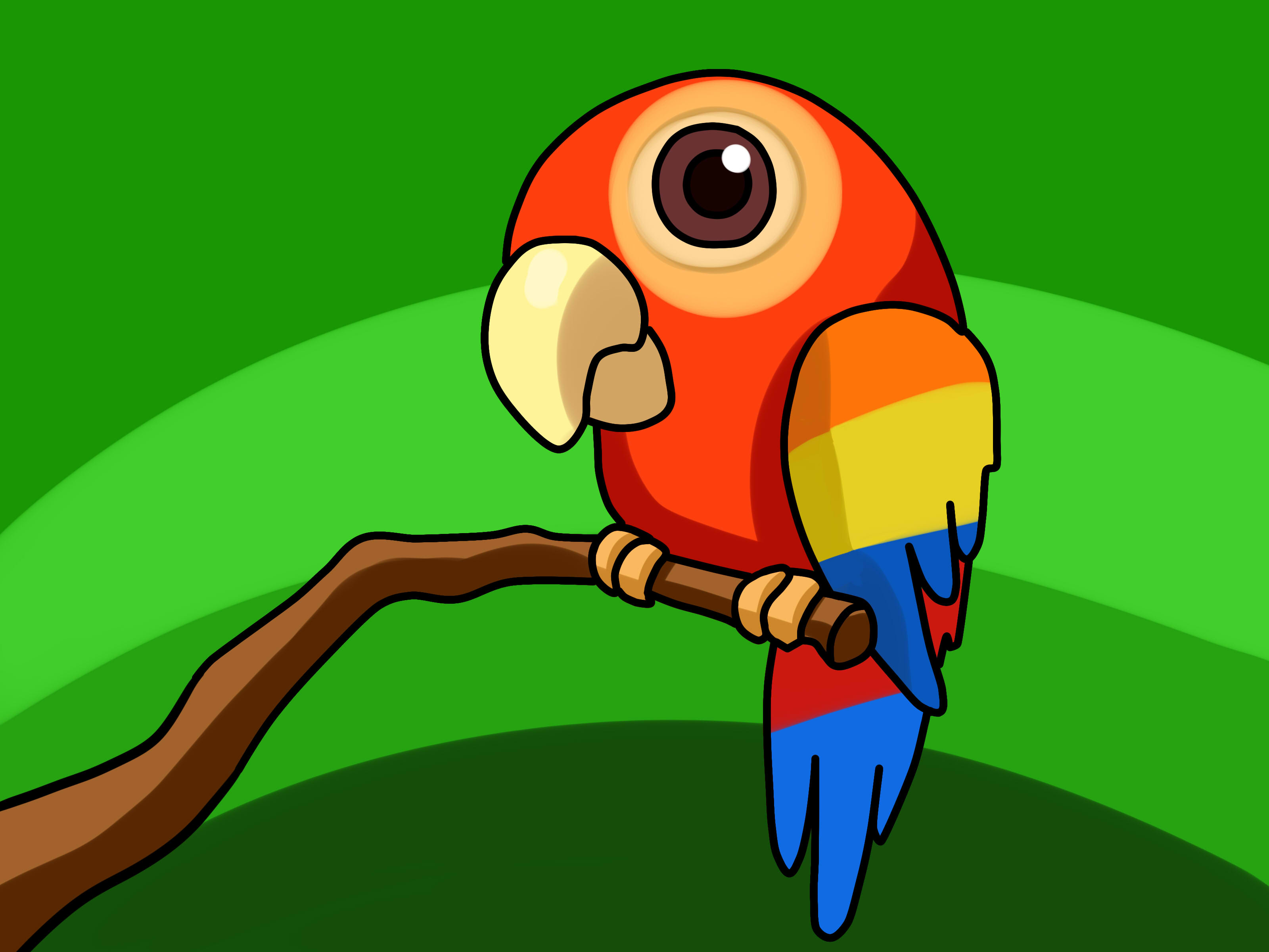 3200x2400 How To Draw A Cute Cartoon Parrot - Cute Parrot Drawing