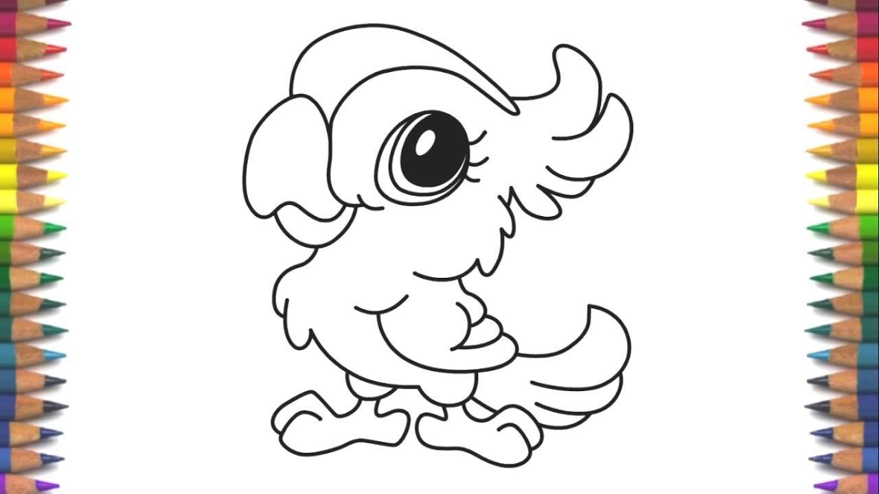 1280x720 How To Draw Cute Kawaii Parrot Quick And Easy - Cute Parrot Drawing