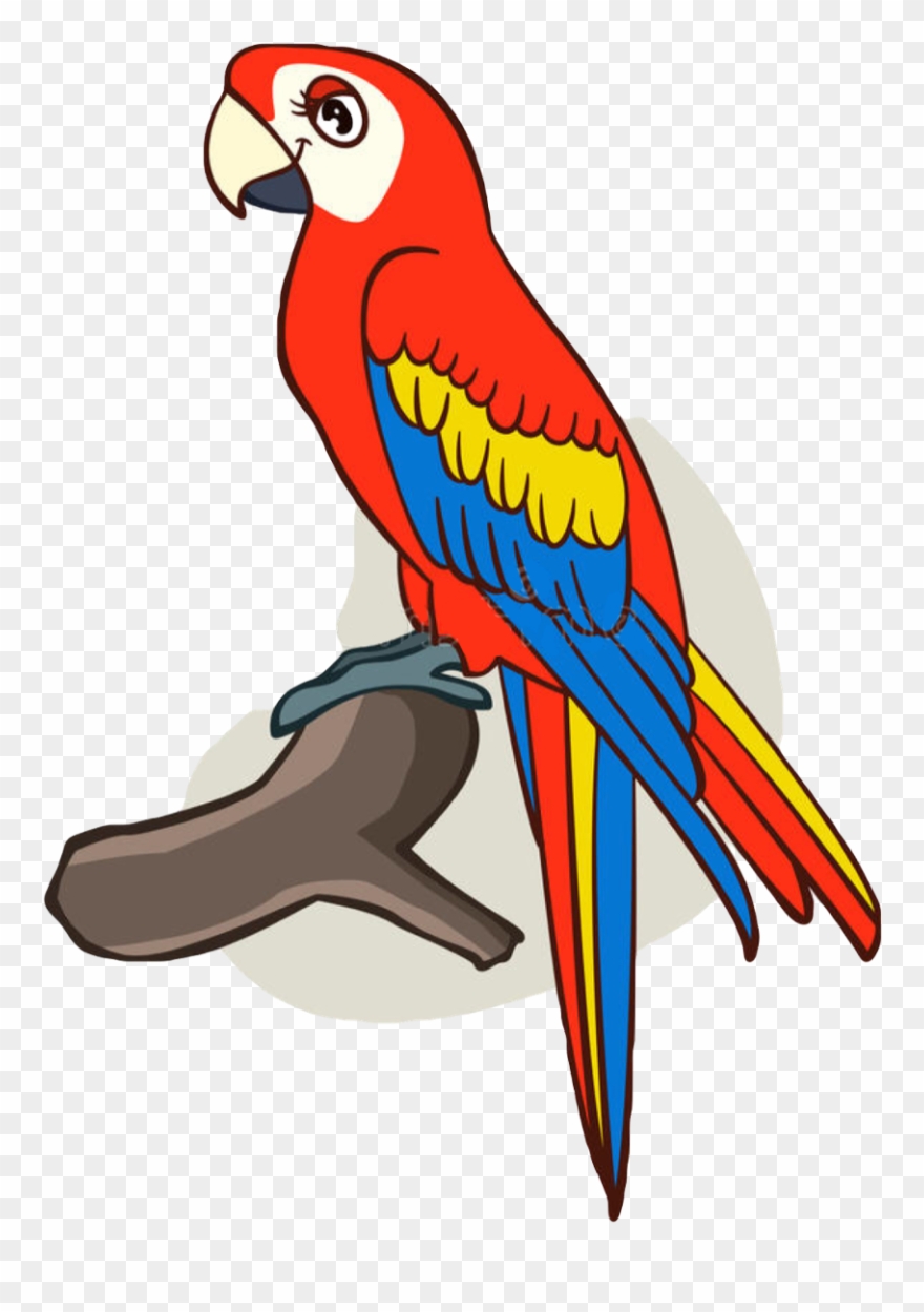 880x1249 report abuse - Cute Parrot Drawing